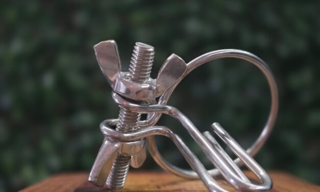 Temu Harnröhren Dehner im Test – Nervenkitzel für 3,34 € oder einfach nur Wahnsinn?